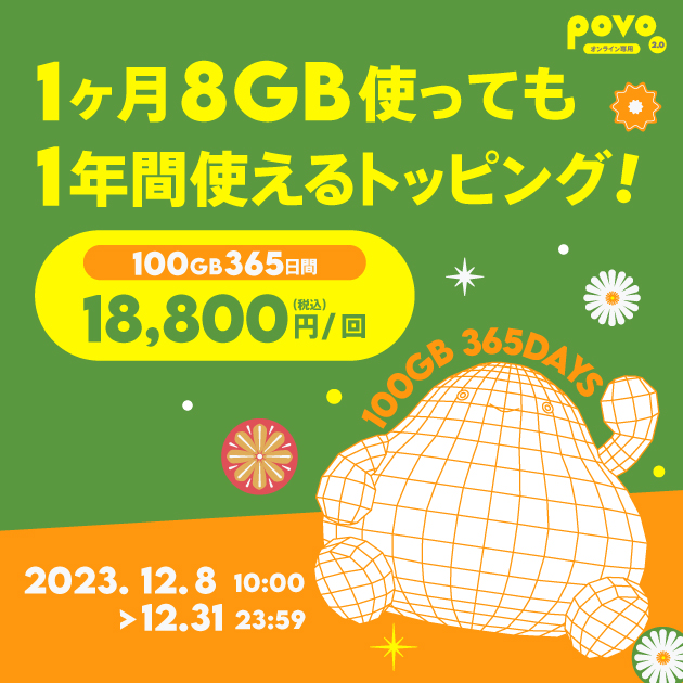 【期間限定】データ追加100GB(365日間)