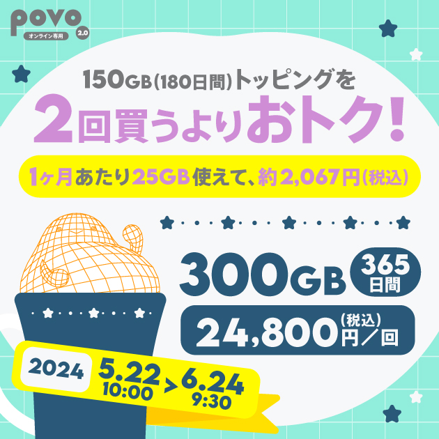 【期間限定】データ追加300GB(365日間)
