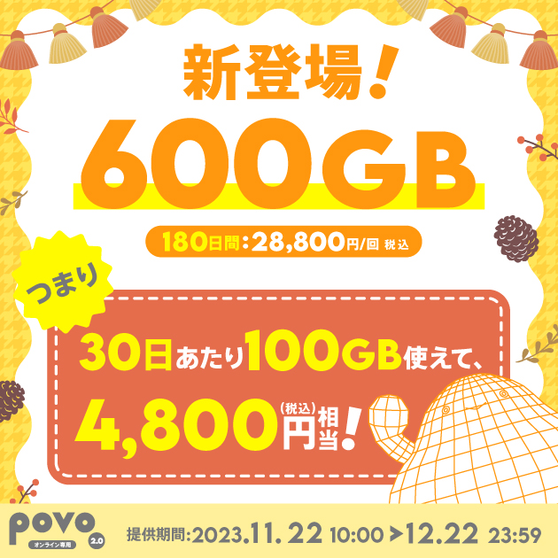 【期間限定】データ追加600GB(180日間)