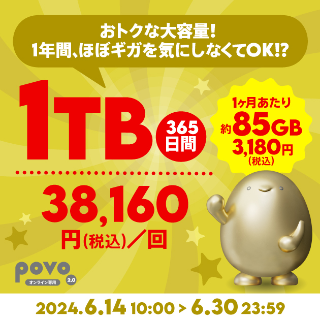 【期間限定】データ追加1TB(365日間)