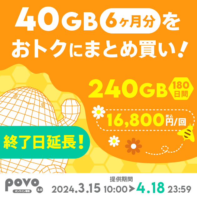 【期間限定】データ追加240GB(180日間)