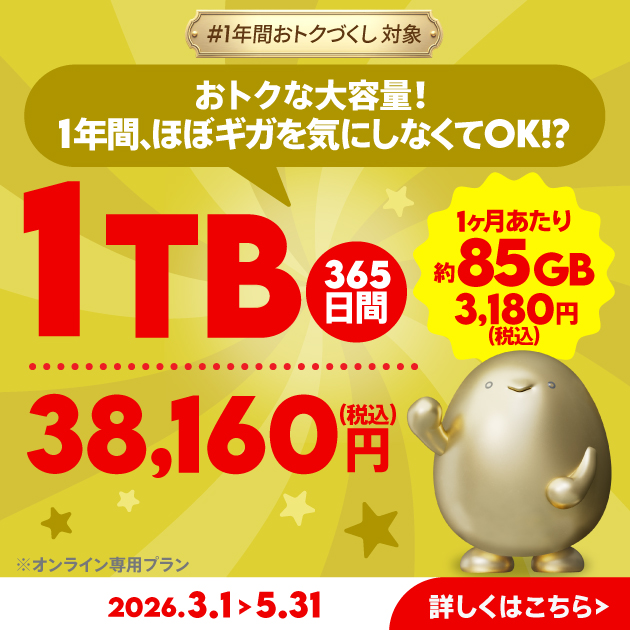 データ追加1TB(365日間)