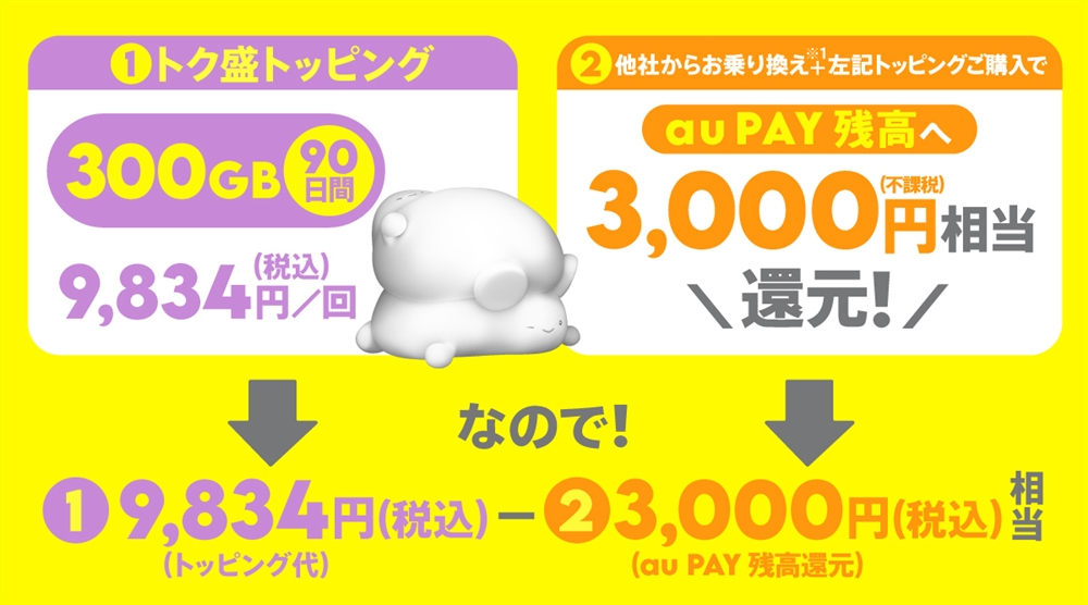 メイン回線もpovo2.0へのお乗り換え（MNP）がおトク！ | povo2.0