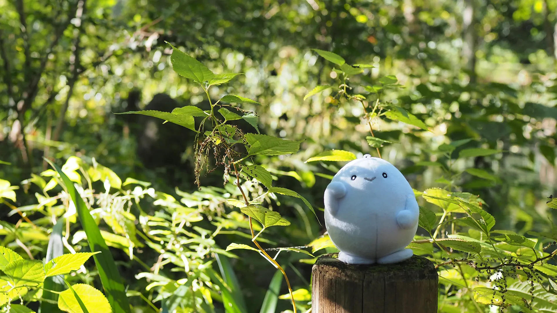 森林浴のpovoキャラクター