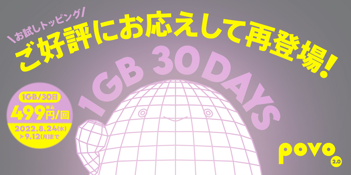 「1GB（30日間）499円」トッピング