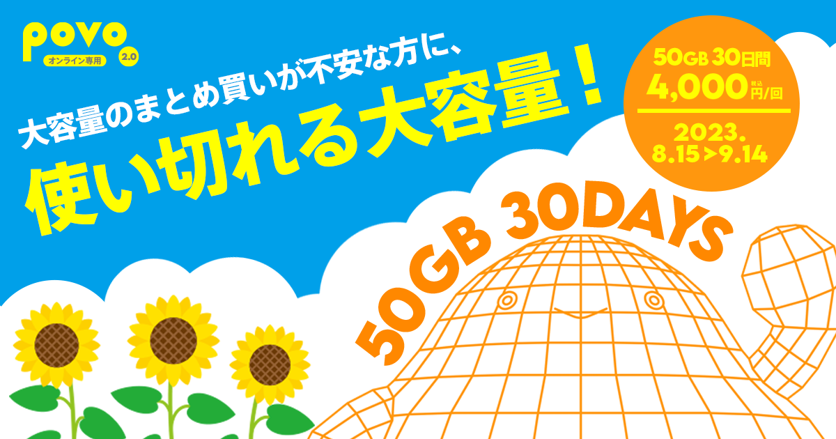 大容量のまとめ買いが不安な方に、使い切れる大容量！　5GB30日間 税込4,000円