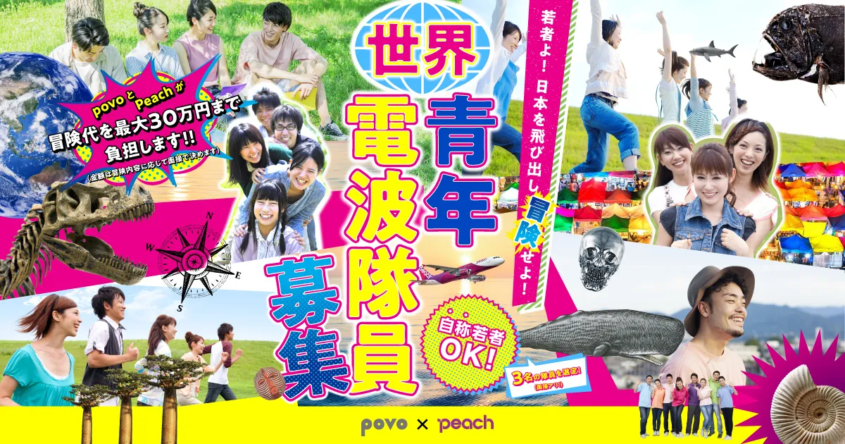 世界青年電波隊員募集