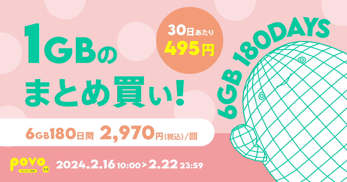【期間限定】データ追加6GB（180日間）