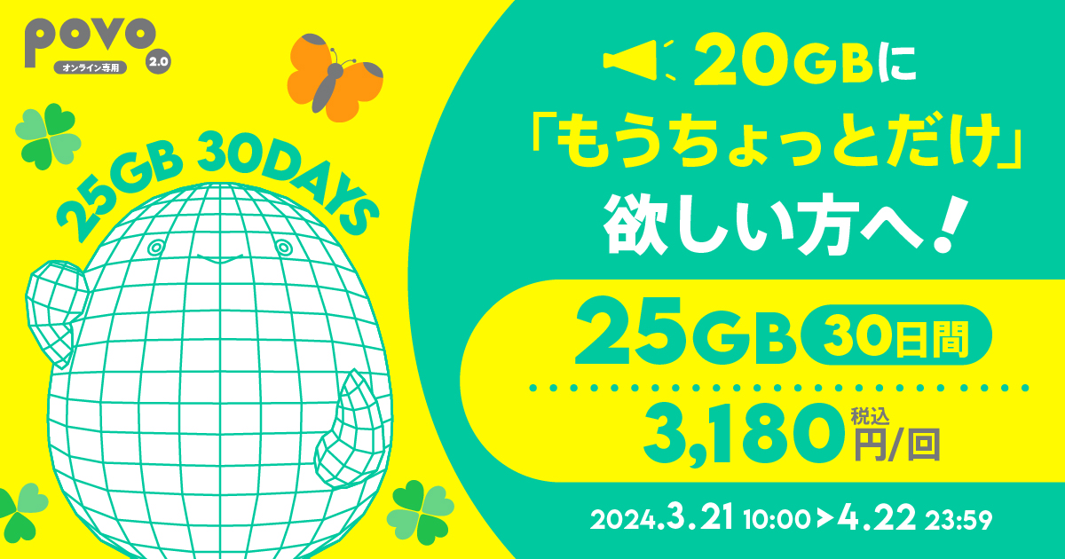 【期間限定】データ追加25GB（30日間）