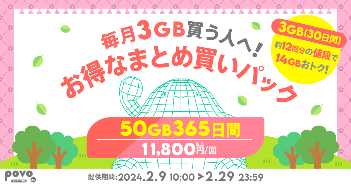 毎月3GB買う人へ！お得なまとめ買いパック 50GB365日間 税込11,800円