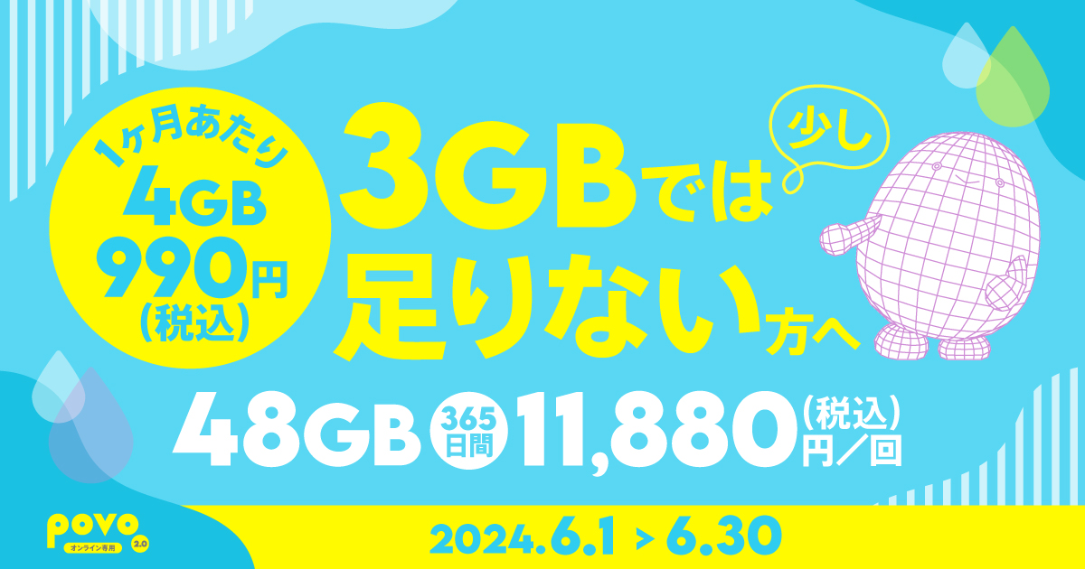 【期間限定】データ追加48GB（365日間）