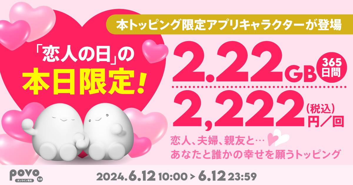 【期間限定】データ追加2.22GB(365日間)