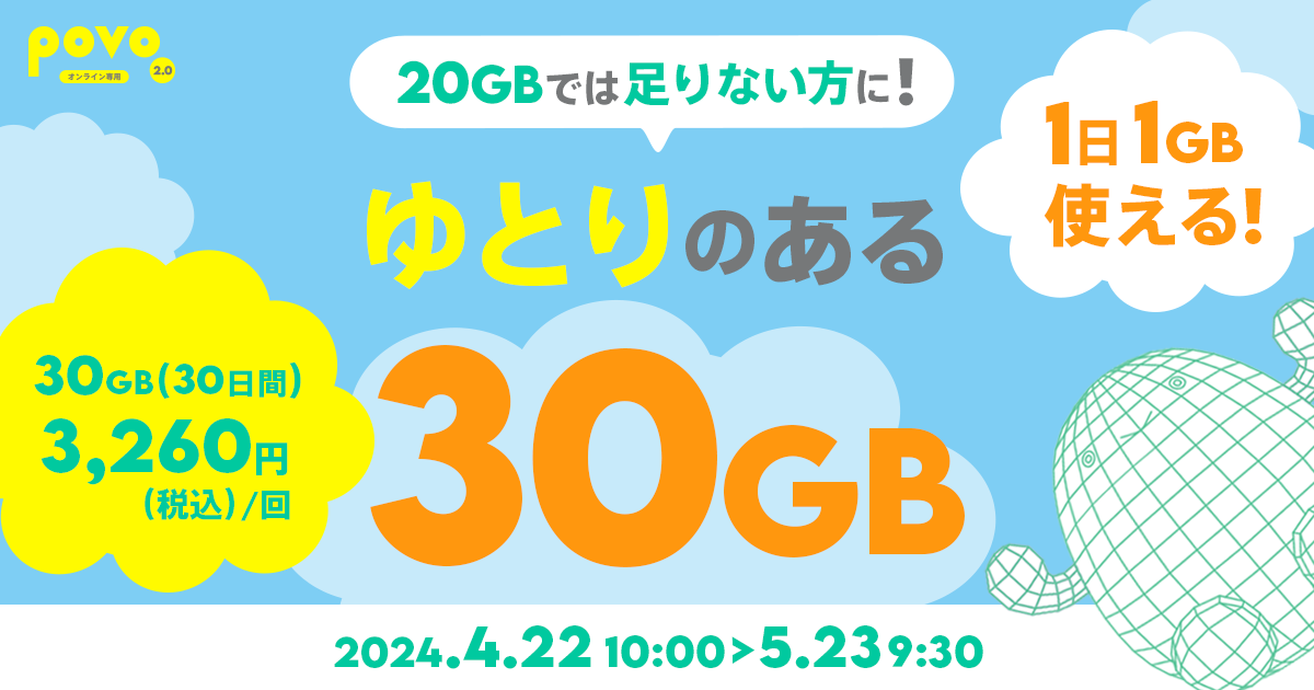【期間限定】データ追加30GB（30日間）