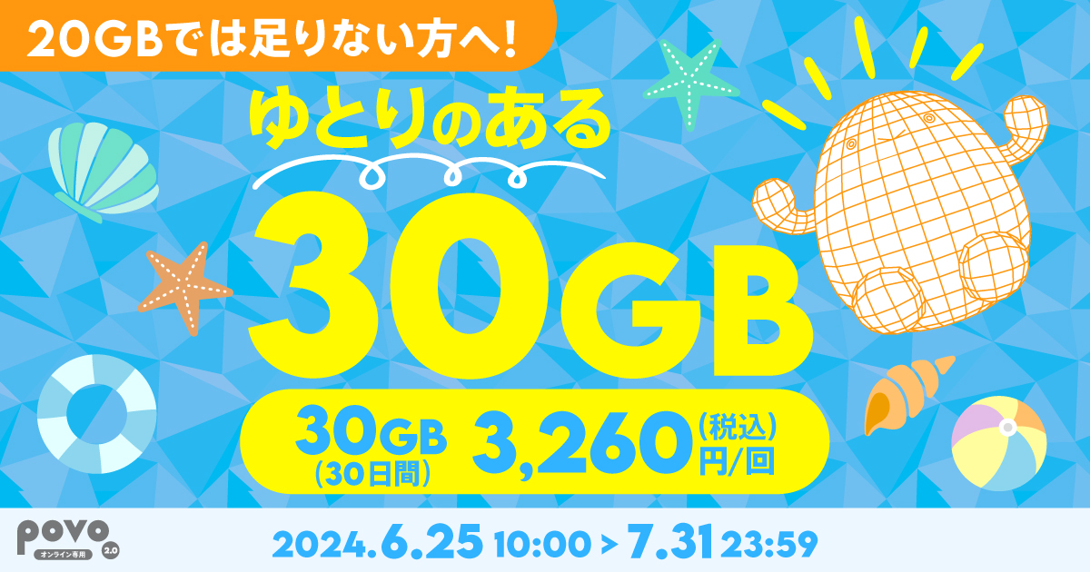 【期間限定】データ追加30GB（30日間）