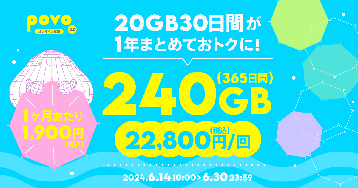 【期間限定】データ追加240GB（365日間）