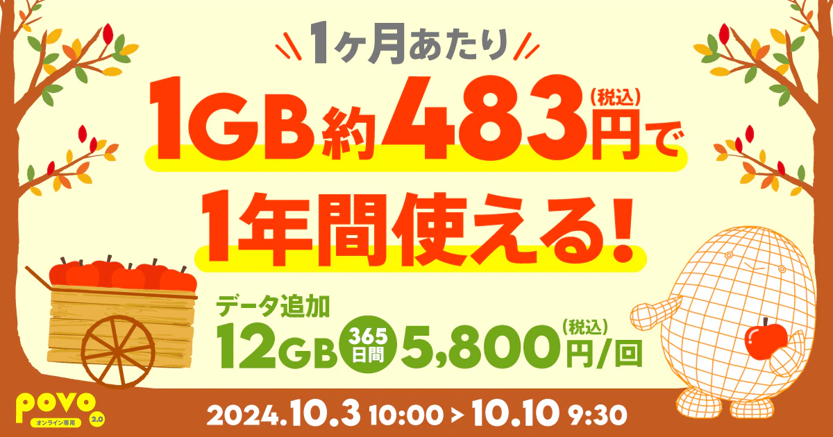 【期間限定】データ追加12GB（365日間）