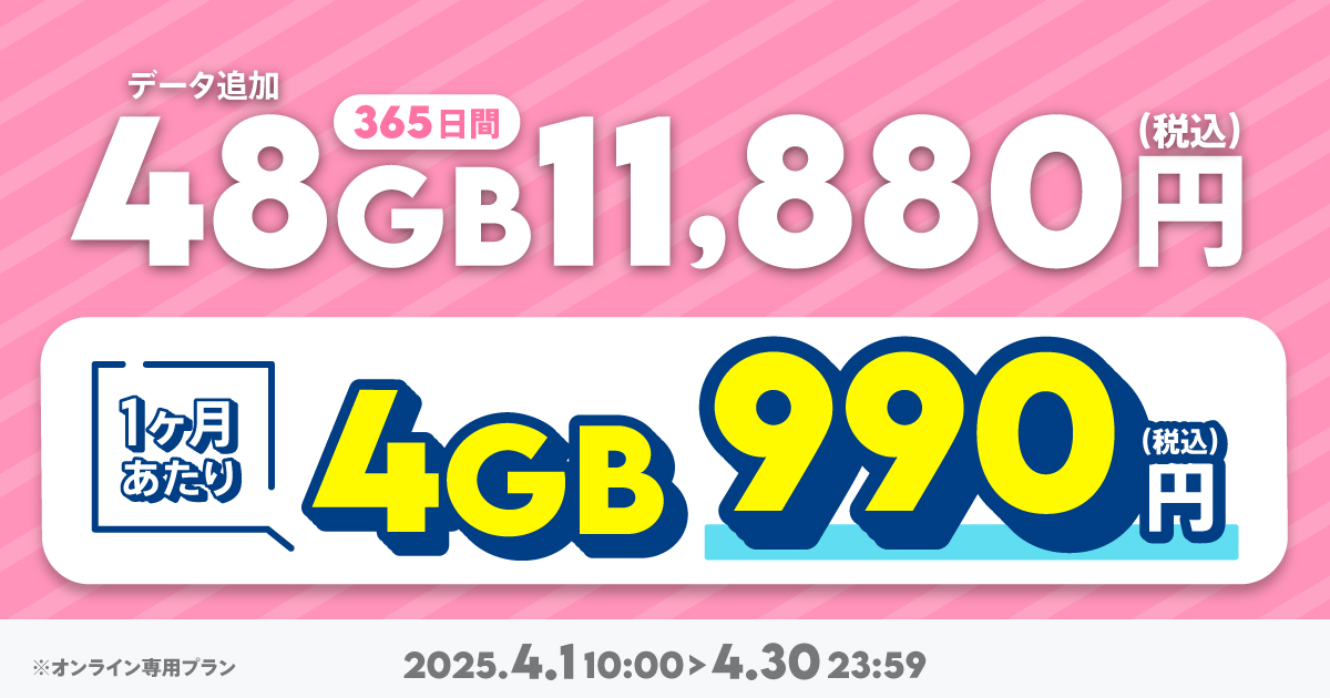 【期間限定】データ追加48GB(365日間)