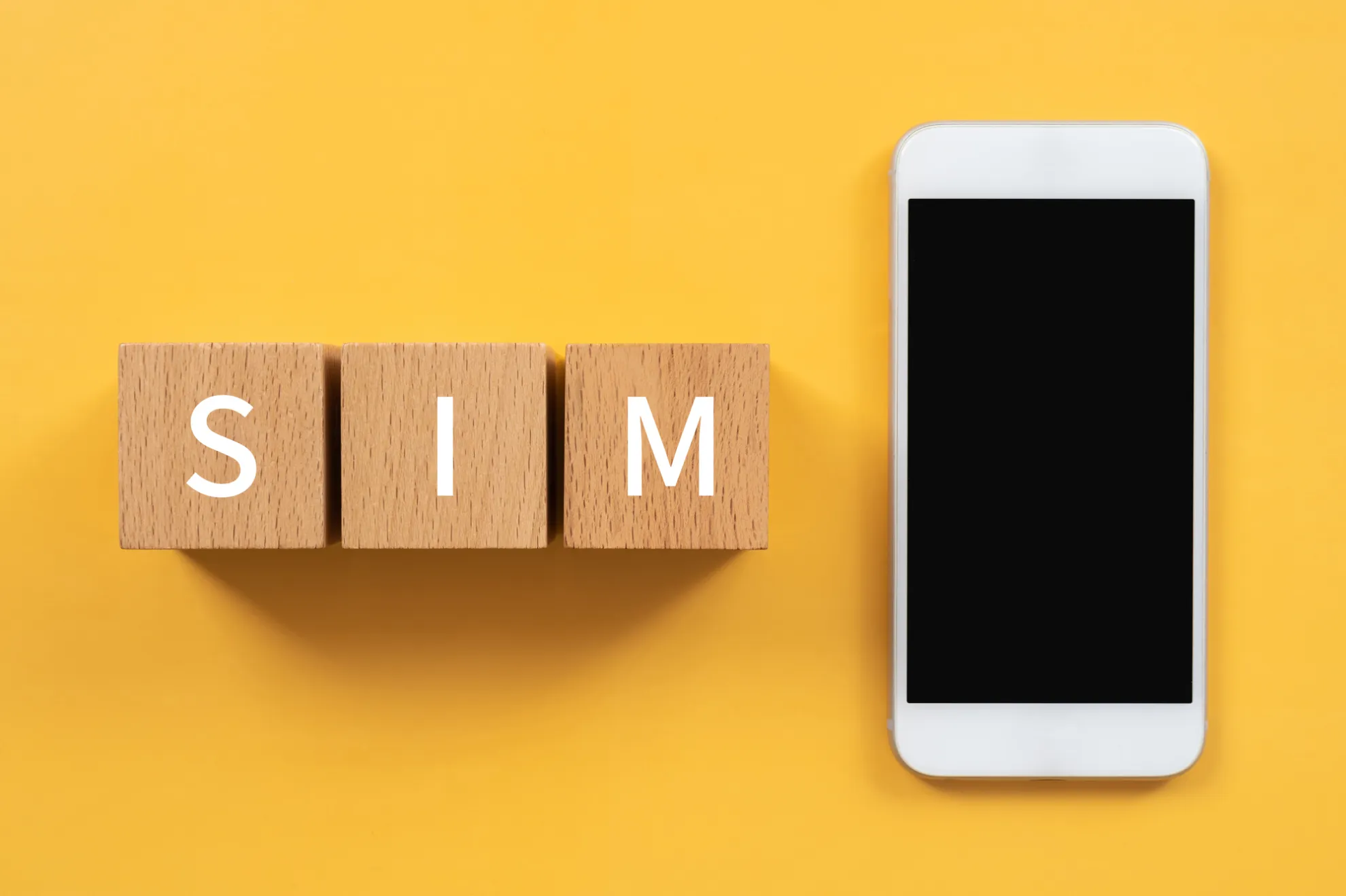 【基礎知識】そもそもSIMとは？