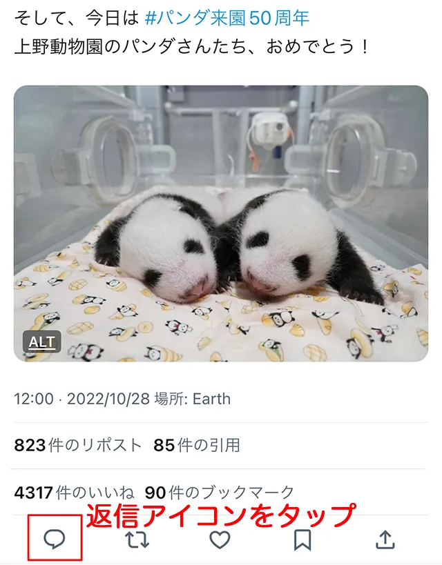 alt_txt