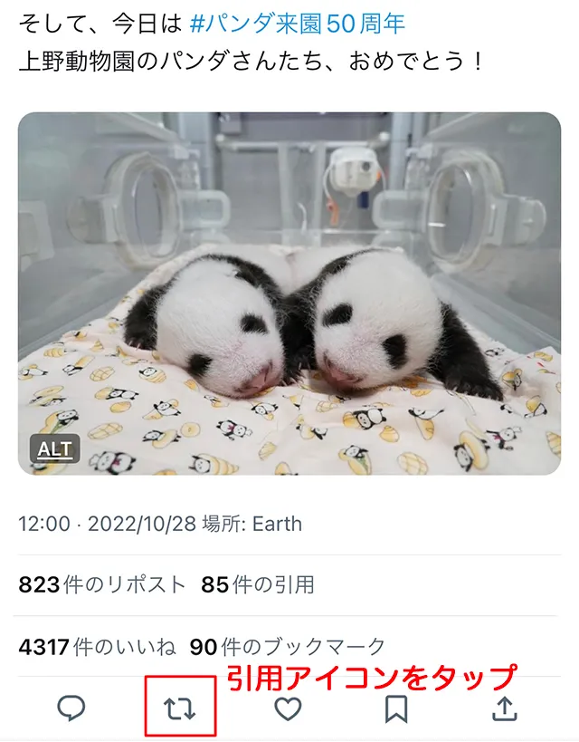 alt_txt