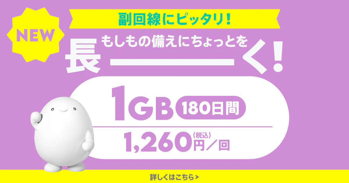 データ追加1GB(180日間)