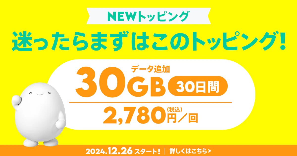 データ追加30GB(30日間)