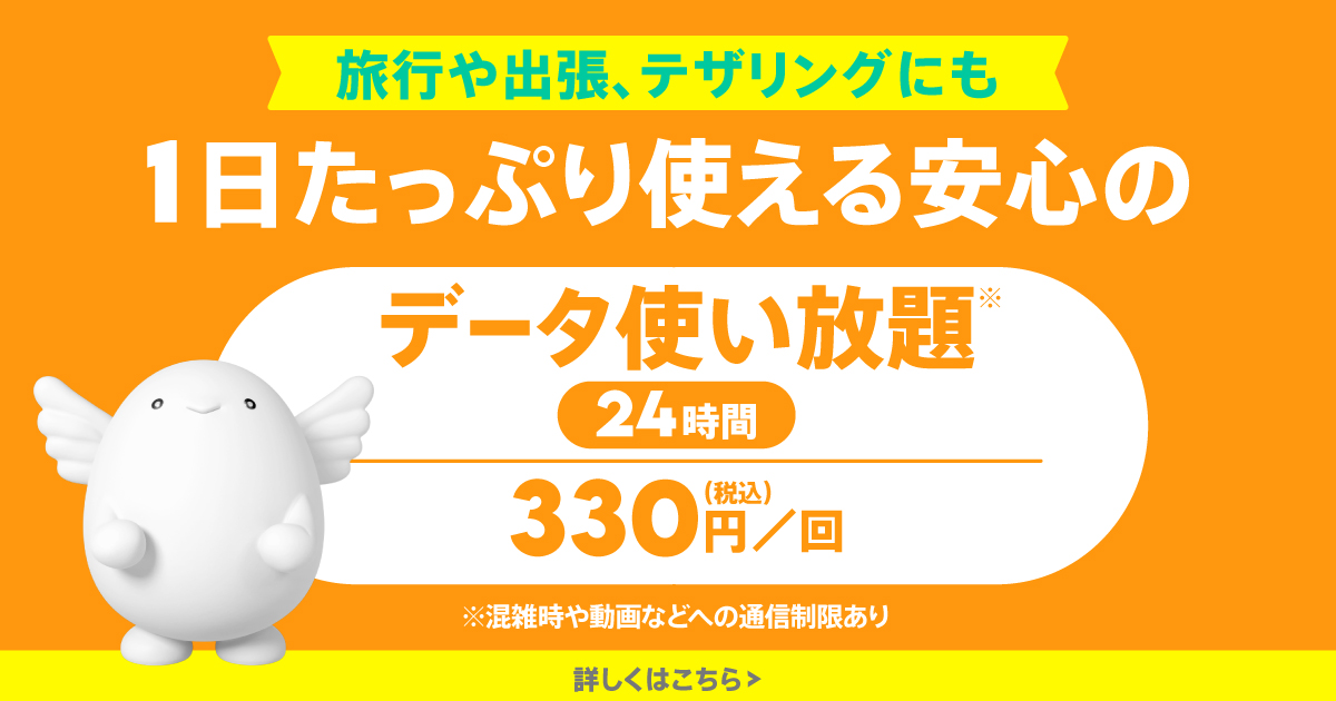 データ使い放題(24時間)トッピング