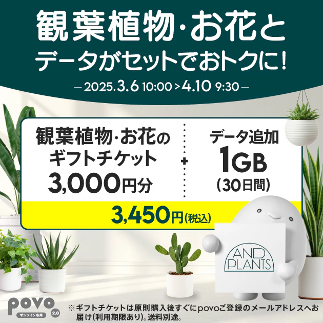 一覧画像