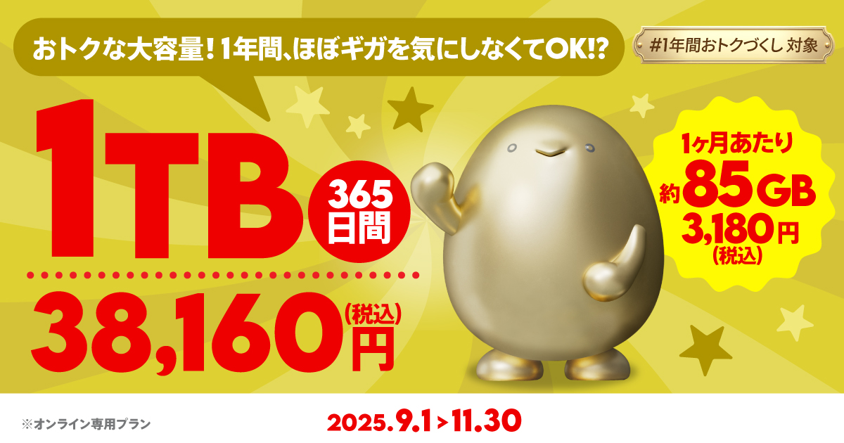 povo、「60GB(365日間)13,200円」「1TB(365日間)38,160円」を