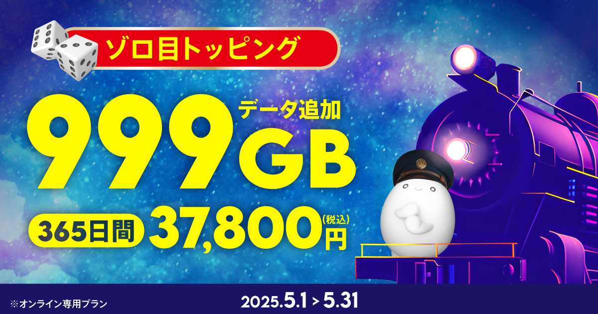 【期間限定】データ追加999GB(365日間)
