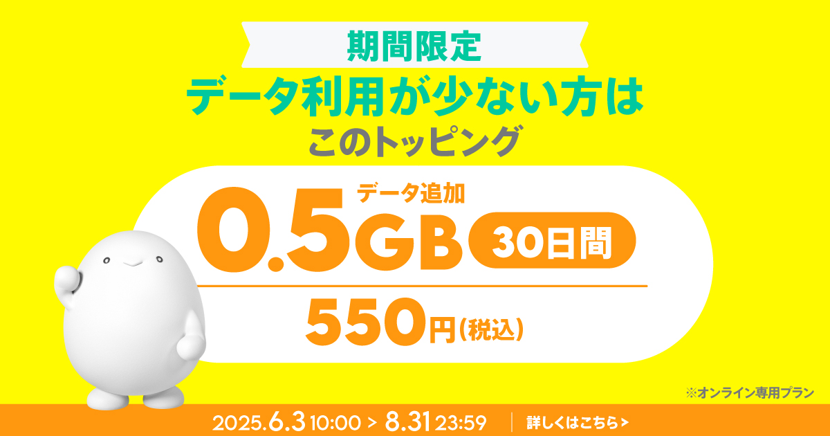 【期間限定】0.5GB(30日間)