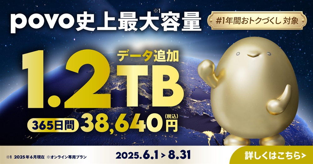 【期間限定】1.2TB(365日間)