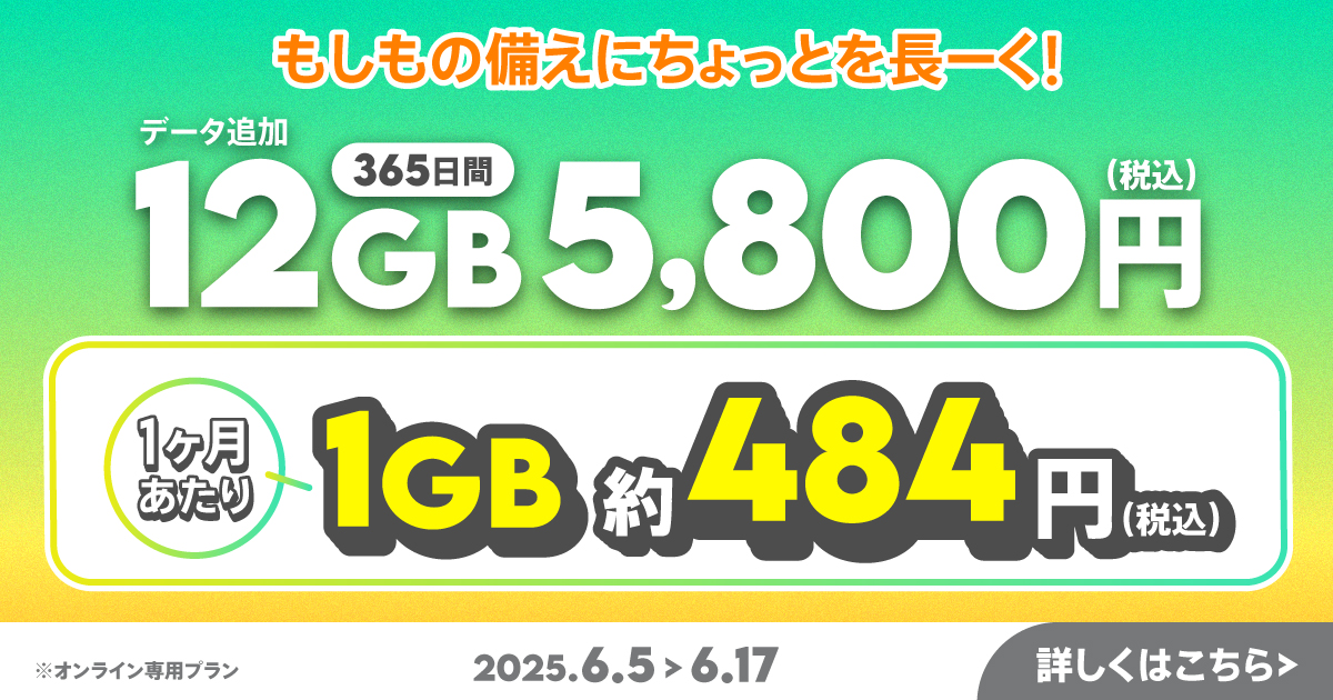 【期間限定】12GB(365日間)