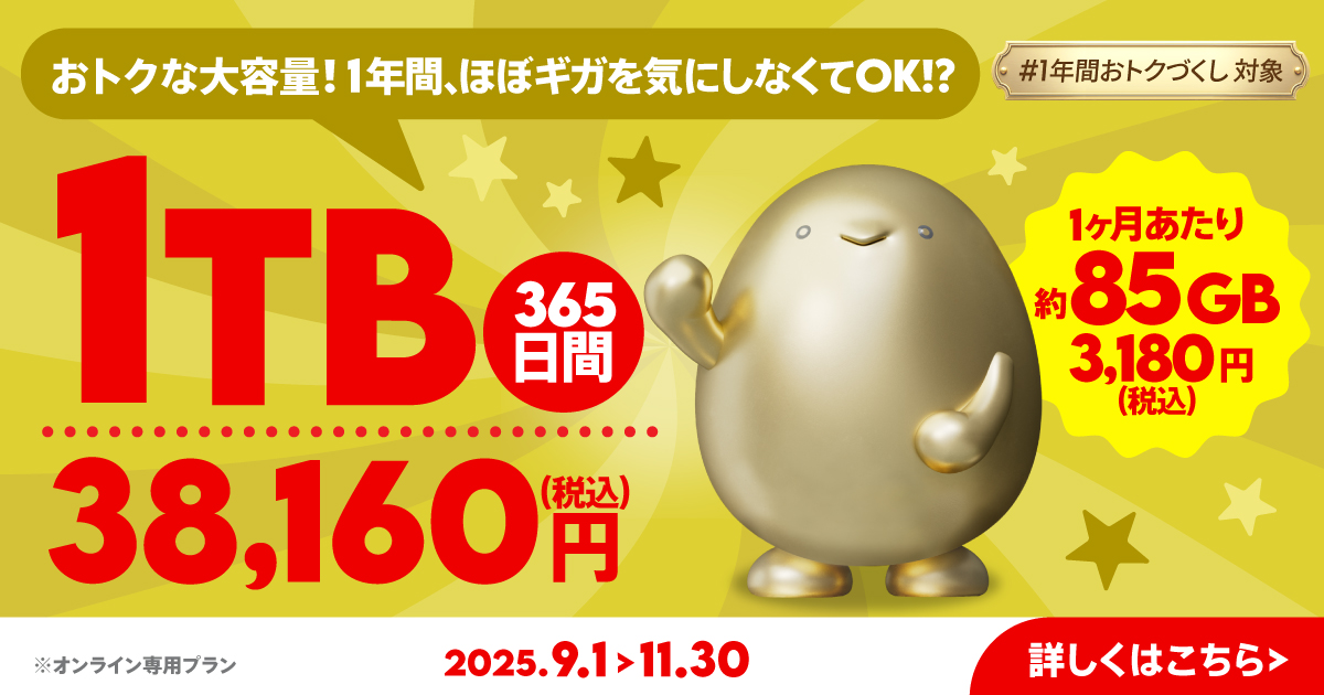 【期間限定】1TB(365日間)