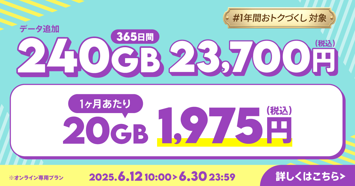 【期間限定】240GB(365日間)