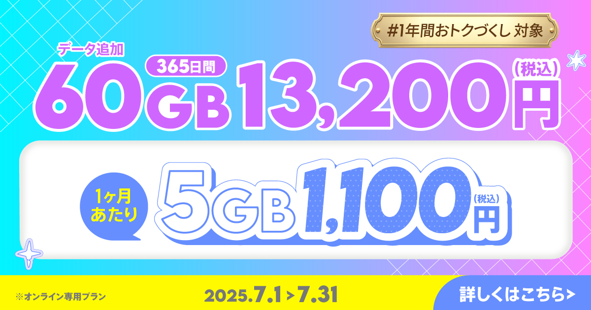 【期間限定】データ追加60GB(365日間)