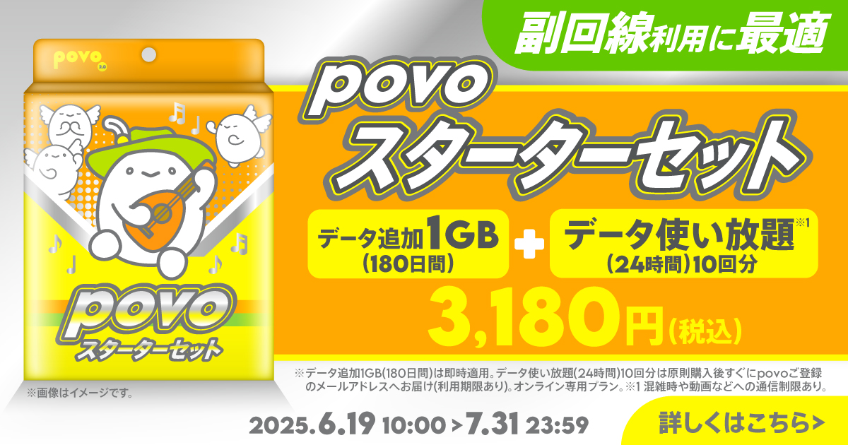 【スターターセット】データ追加1GB(180日間)+データ使い放題(24時間)10回分