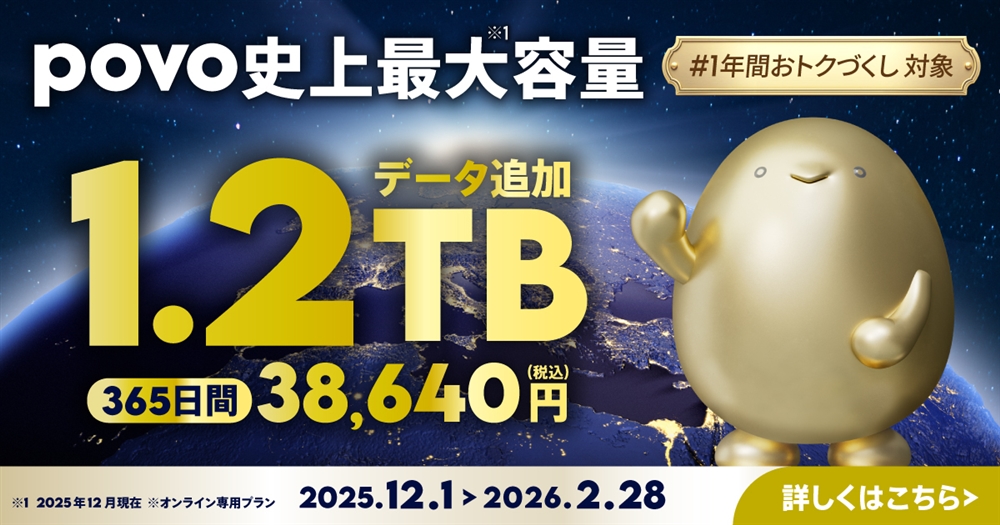 【期間限定】1.2TB(365日間)