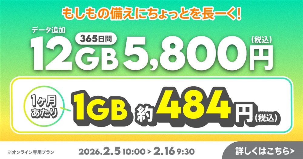 【期間限定】データ追加12GB(365日間)