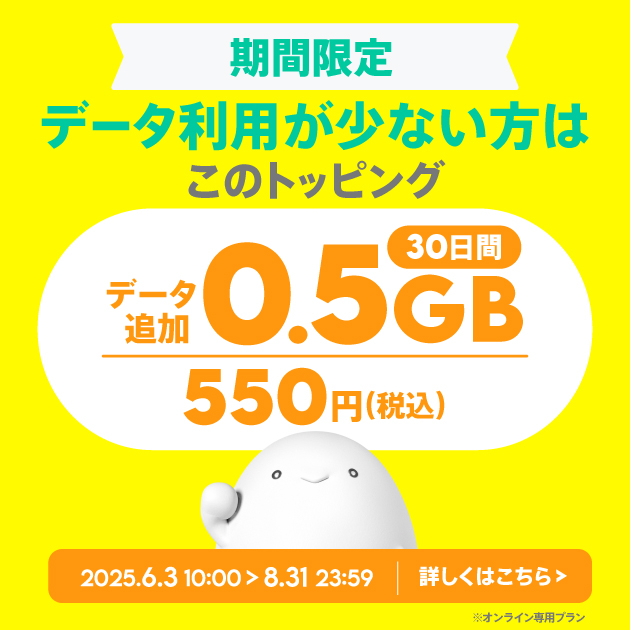 【期間限定】データ追加0.5GB(30日間)