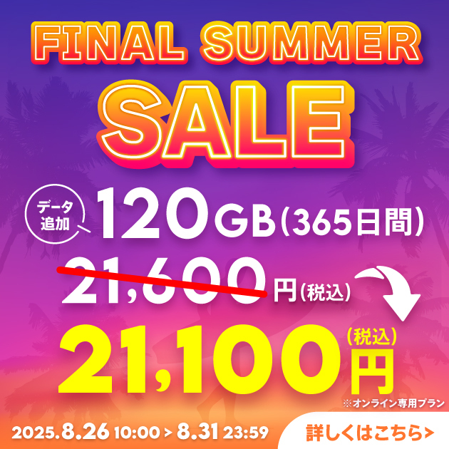 【サマーセール】データ追加120GB(365日間)