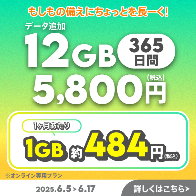 【期間限定】データ追加12GB(365日間)