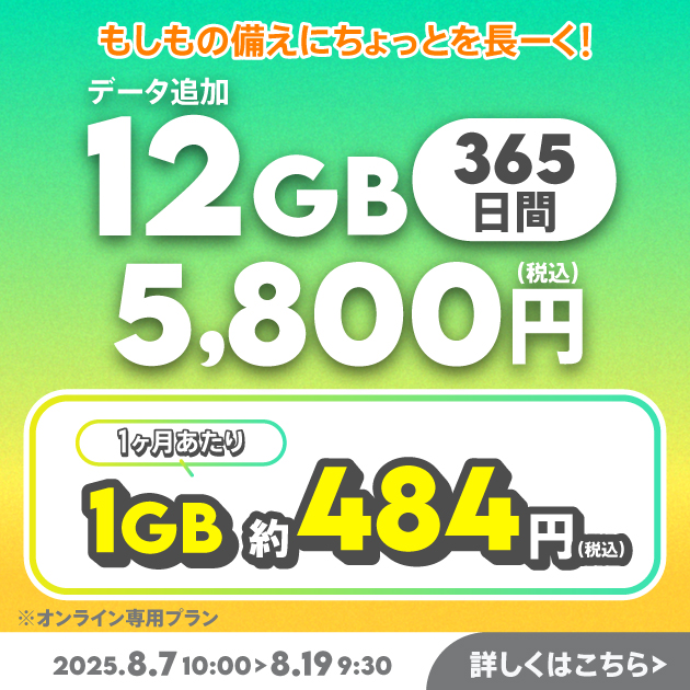【期間限定】データ追加12GB(365日間)