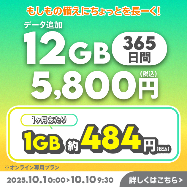 【期間限定】データ追加12GB(365日間)