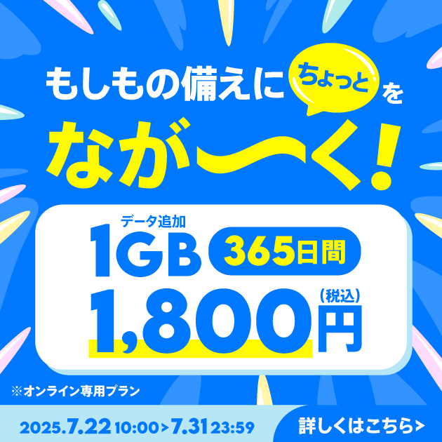 【期間限定】データ追加1GB(365日間)