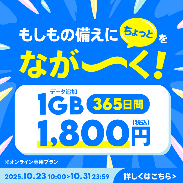 【期間限定】データ追加1GB(365日間)