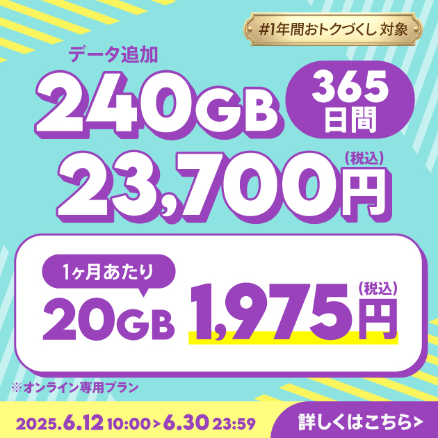 【期間限定】データ追加240GB(365日間)