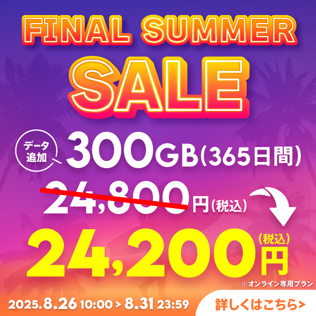 【サマーセール】データ追加300GB(365日間)