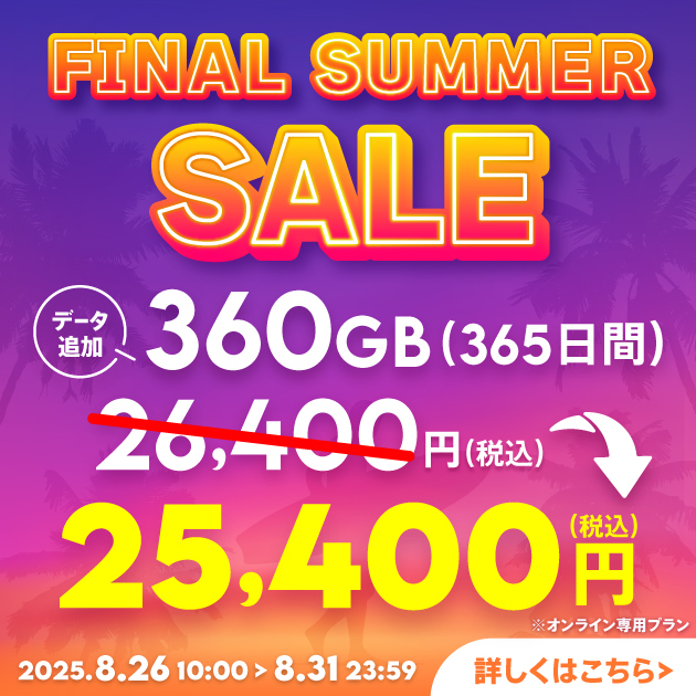 【サマーセール】データ追加360GB(365日間)