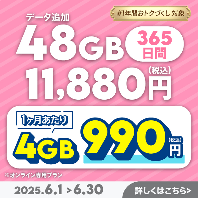 【期間限定】データ追加48GB(365日間)